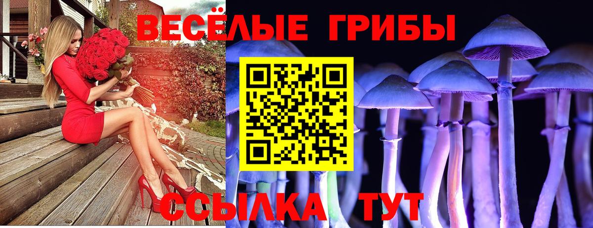 Псилоцибиновые грибы Psilocybine cubensis Сегежа
